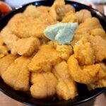 【北海道おすすめウニ丼】北海道で「朝どれのガチ本物生ウニ丼」を食べられる店はどこですか？朝どれウニ丼食える店の代表例が勝栄鮨とココカピウ