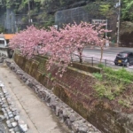 Thumbnail of post image 022