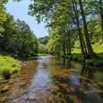 Thumbnail of post image 059