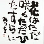 Thumbnail of post image 060