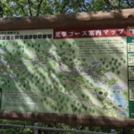 Thumbnail of post image 173