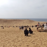 Thumbnail of post image 164