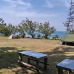 Thumbnail of post image 135