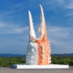 Thumbnail of post image 041